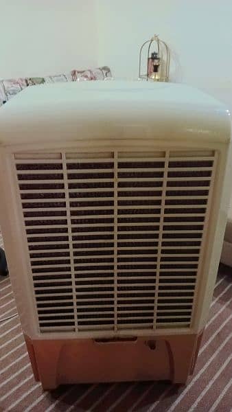 Air Cooler in Lush Condition!! 0