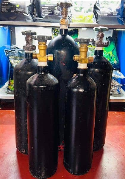 Oxygen Cylinder tanks available 0