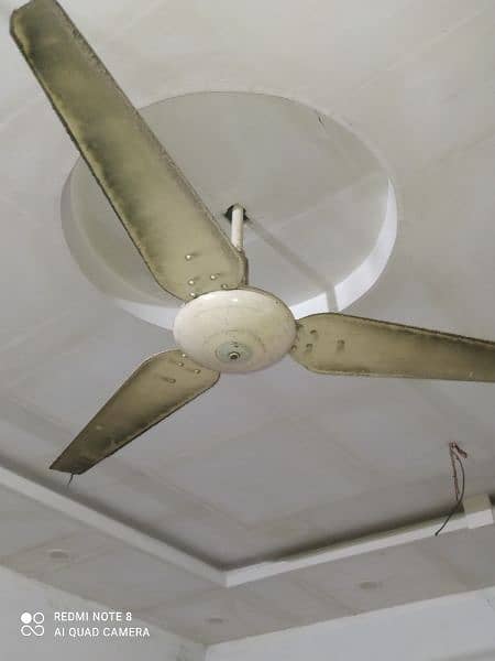 celling fan 2