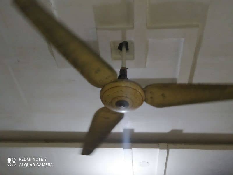 celling fan 5