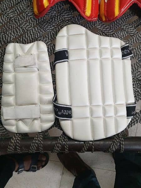 Cricket Hard Ball Helping Pads 2