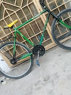 Phoenix bicycle for sale 0