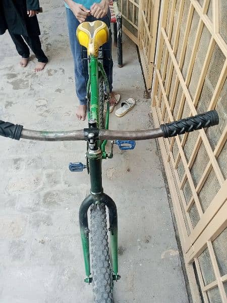 Phoenix bicycle for sale 2