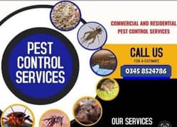 Pest Control/Termite deemak Control/Mosquito Spray/Fumigation