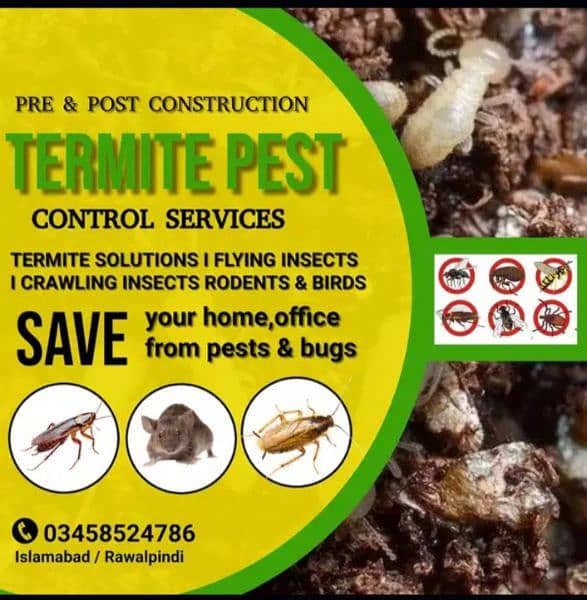 Pest Control/Termite deemak Control/Mosquito Spray/Fumigation 1