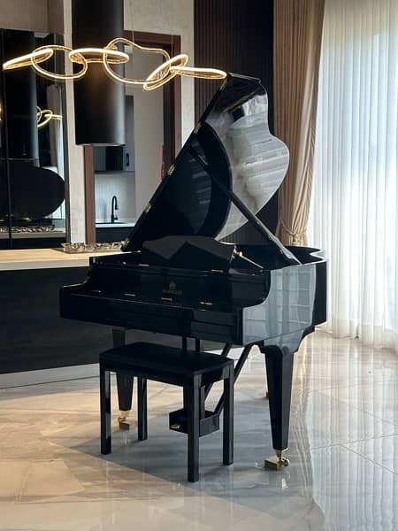 Bassclef Baby Grand Piano / pool table / sofa / keyboards / piano 1