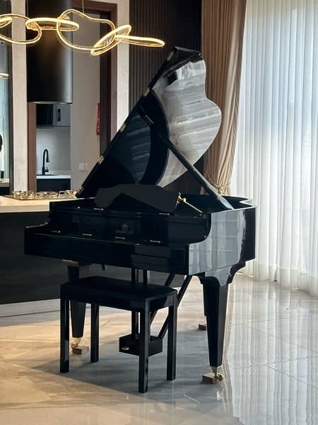 Bassclef Baby Grand Piano / pool table / sofa / keyboards / piano 5