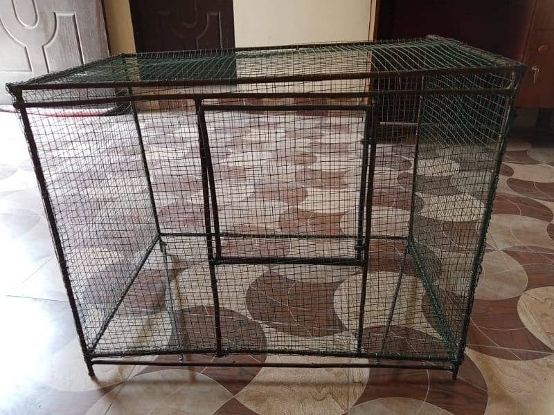 bird cage 2