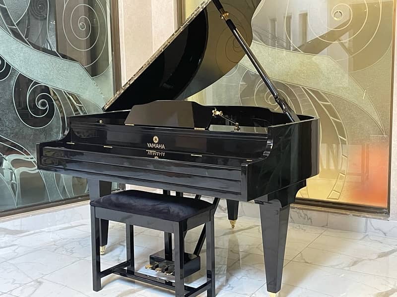 Bassclef Grand Piano / Grand Piano / piano / keyboards 4