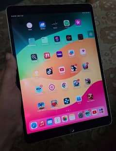 Ipad Pro 10.5 128GB Celluar Model 0