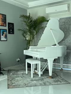 Bassclef Grand Piano / Grand piano / piano / pool table /sofa