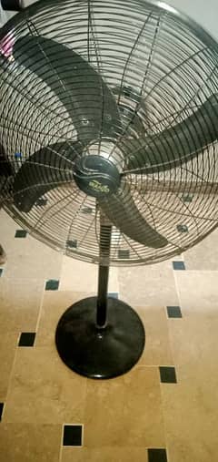 Pedestal Fan