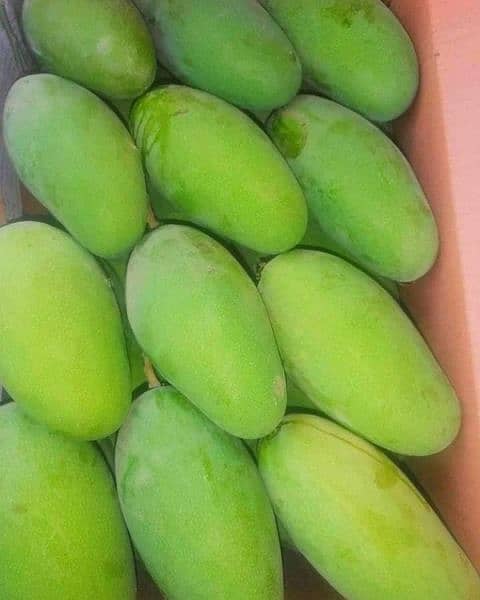 Fresh Multani Mangos Available content and order on WhatsApp 1