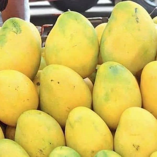 Fresh Multani Mangos Available content and order on WhatsApp 2