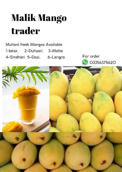Fresh Multani Mangos Available content and order on WhatsApp 3