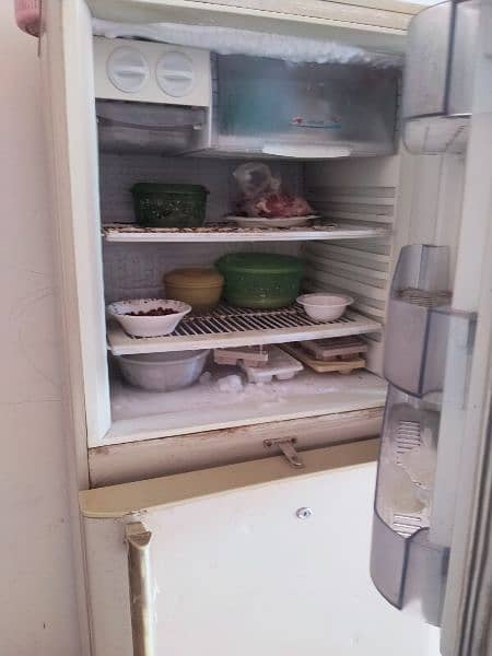 Pel Refrigerator Full Size 4