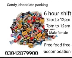 6 hour shift buiscuit & chocolate & candy packing