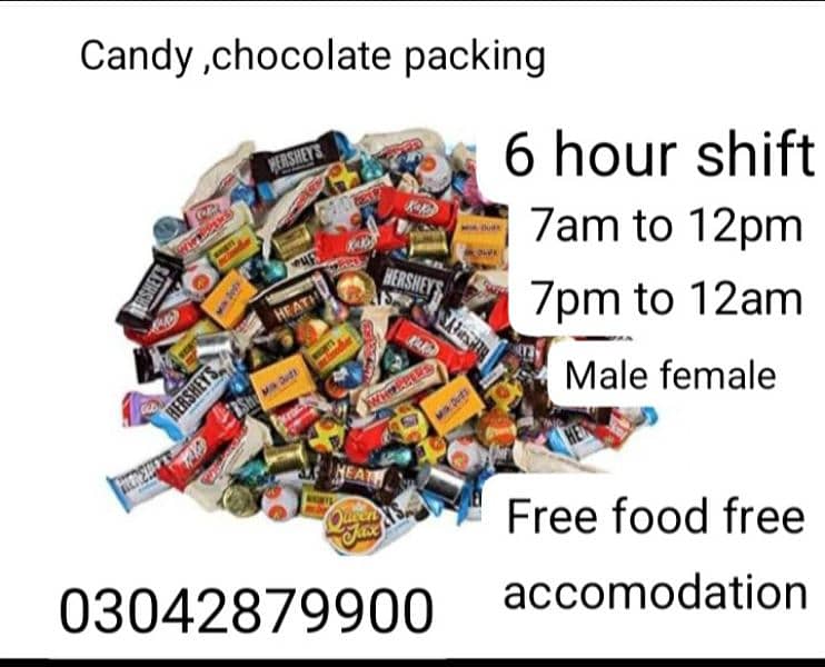 6 hour shift buiscuit & chocolate & candy packing 0