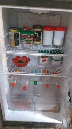 pel jumbo refrigerator