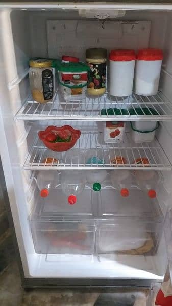 pel jumbo refrigerator 2