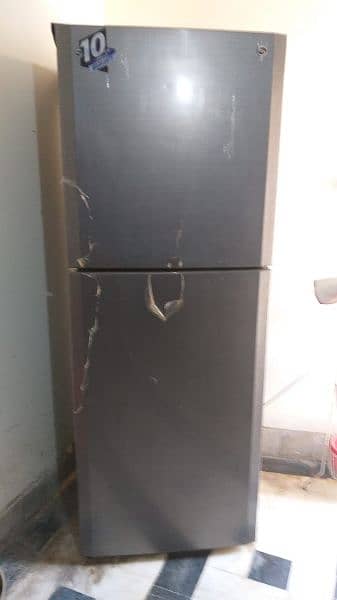 pel jumbo refrigerator 3