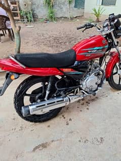 yb 125z dx all ok lush condition new bike nmber nai laga