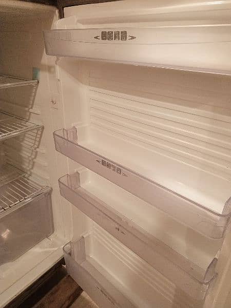 fridge 4