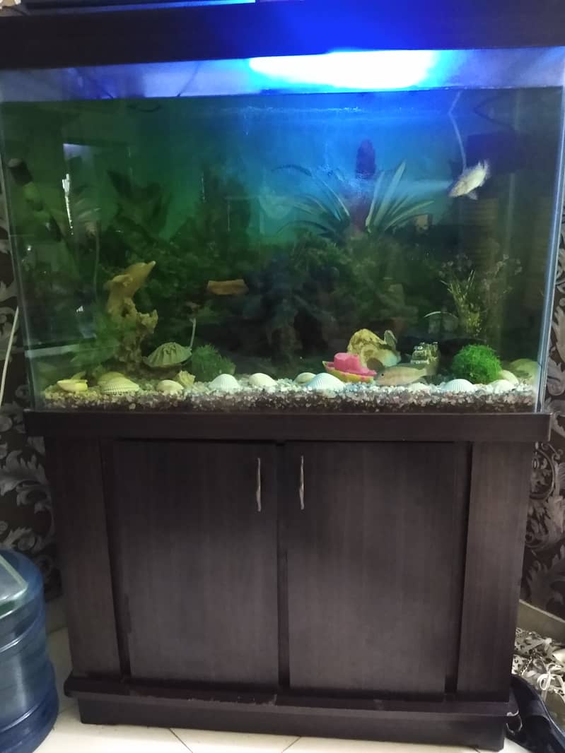 Aquarium 3/2  for sale 2