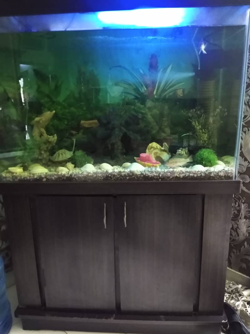 Aquarium 3/2  for sale 3