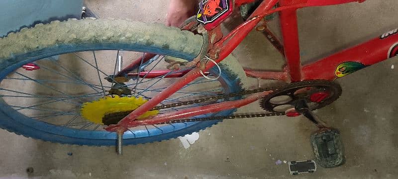 Bicycle For Sale in Cheap Price 4