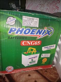 phoenix battery 65 amp
