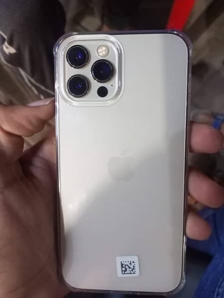 iphone 12 pro water pack 256gb 1