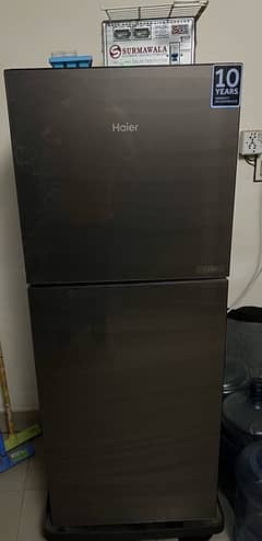 “ HAIER E-STAR Refrigerator in EXCELLENT condition 10/10 ”