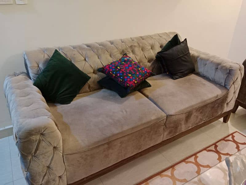 10 seater sofa set with center table 6