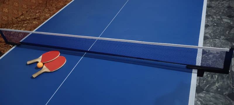 TABLE TENNIS foldable and moveable with tyres 0