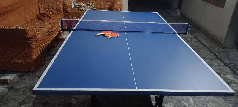 TABLE TENNIS foldable and moveable with tyres 6