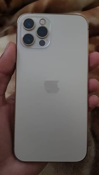 iphone 12 pro pta approved (storage 128gb) condition 10/10 1