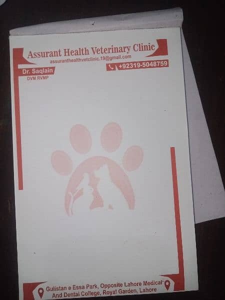 pets and vet 8