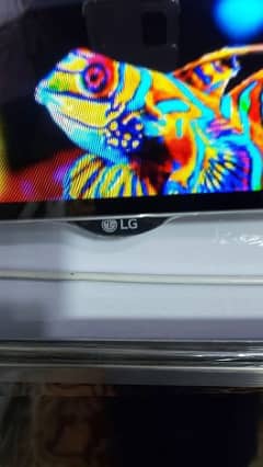 lg oled 55 inch 4k slim body 0