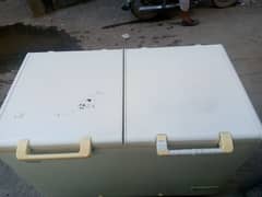 Hair 54 inches Double Door  freezer