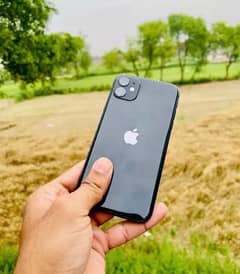 iPhone 11 WATER PACK 64gb all ok 03269969969 wp ajao 0