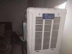 Irani Air Cooler