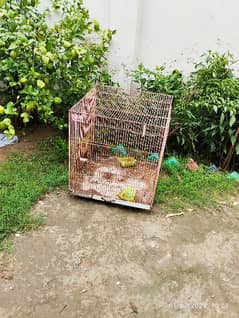 Bird/Rabbit cage