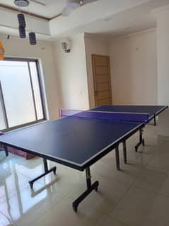 Professional Tabel tennis Tabel for sale 10/10 Condition