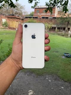 Iphone XR nonpta Jv (128gb)