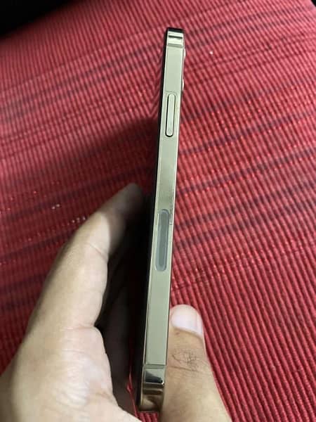 iphone 12 pro gold colour 1