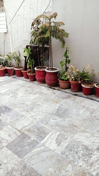 plants with pots 2