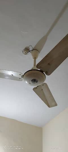 Fak Fan for sale