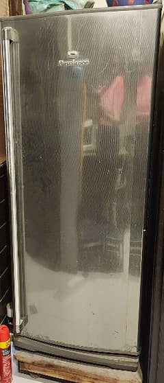 Standing Freezer for sale 0