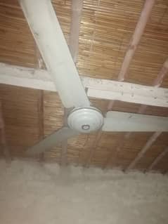 ceiling fan 100% copar